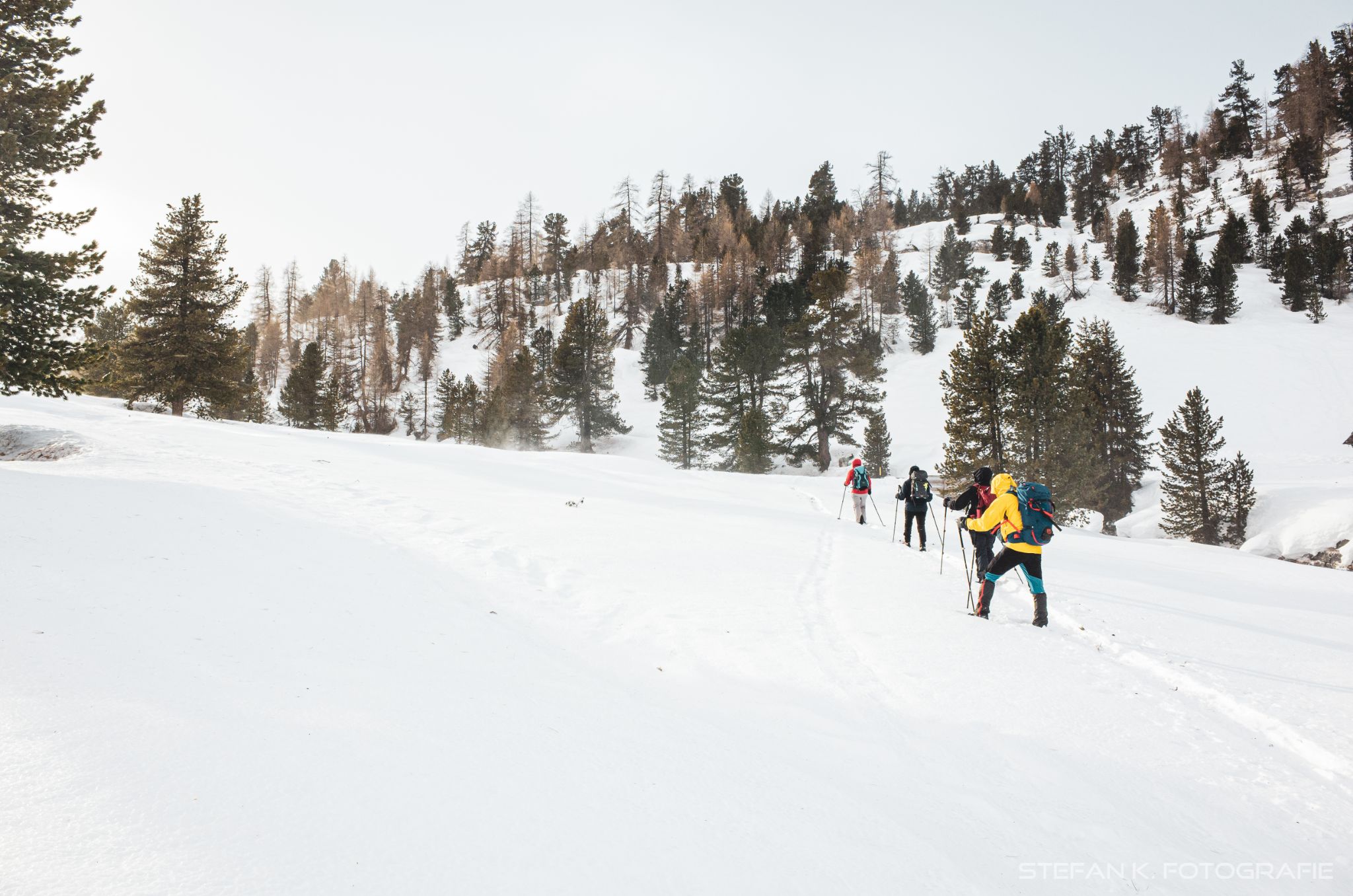 Spaziergang mit Schneeschuhen auf der Fanesalm